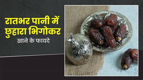 रातभर पानी में भिगोकर रखें छुहारे सुबह खाने से मिलेंगे ये 5 जबरदस्त फायदे Benefits Of Eating