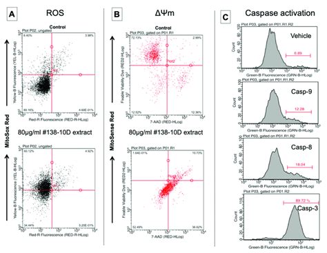 Detection Of Mitochondrial Ros Generation Mitochondrial Potential And