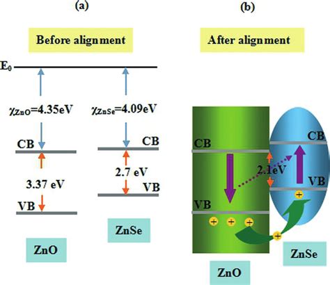 Schematic Diagrams Showing The Energy Band Structure Of Zno And Znse Download Scientific