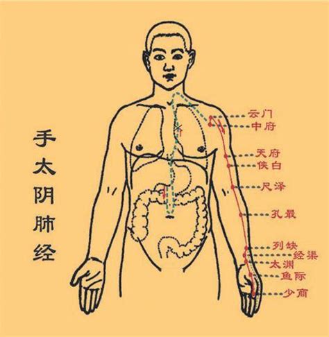 長期抽菸的人，如果能完成這3個小測試，恭喜了：你的肺還很不錯 每日頭條