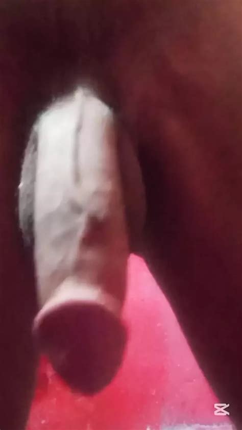 Newest Gay Porn Videos Free Sex Movies Xhamster