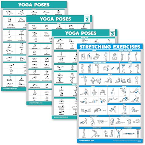 Palace Learning 4 Pack Yoga Poses Posters Volume 1 India Ubuy