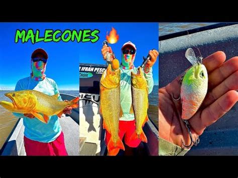 Tv N Pesca En Los Malecones Youtube