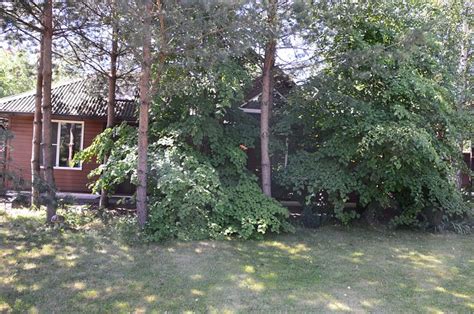 GOSTEVOI DOM IN DOMODEDOVO - Guest house Reviews (Moscow Oblast)