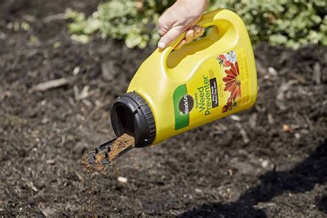 11 Best Weed Killer For Flower Beds Buying Guide TheYouthFarm