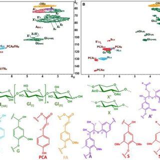 2D HSQC NMR Spectra And The Main Structures Of The Corncob A And