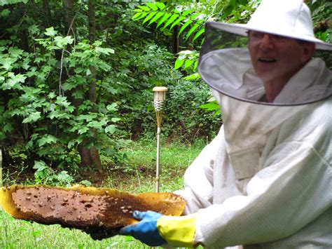 Aspen Honey Bees: Forest, VA Honey Bee Colony Removal