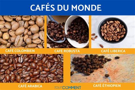 Les 5 MEILLEURS CAFÉS DU MONDE Découvrez les noms de café et QUEL EST