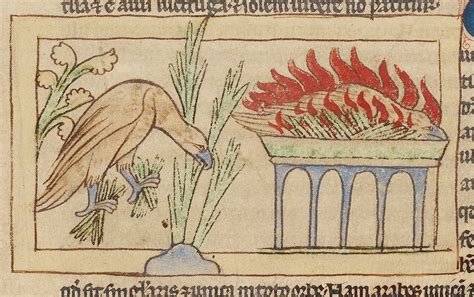 Dumbledore’s Phoenix and the Medieval Bestiary | Getty Iris