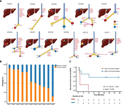 Frontiers Targeted Next Generation Sequencing Combined With