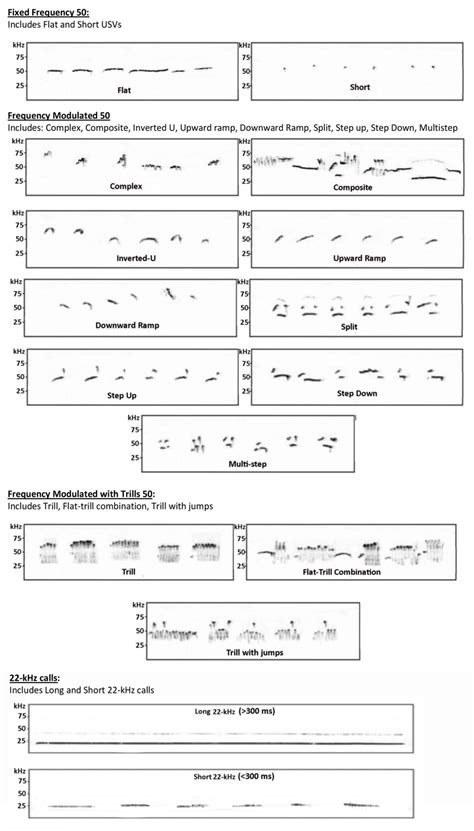 Representative Spectrograms For Each Of The Call Types In Table 2 Download Scientific Diagram