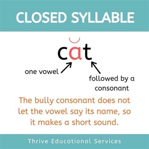 Closed And Open Syllables Anchor Chart