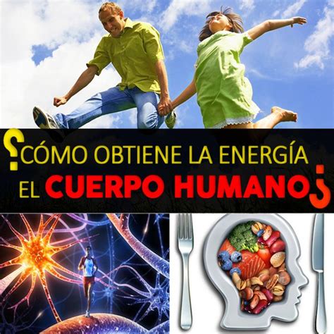 Lista Imagen De Fondo Puntos De Energia Del Cuerpo Humano Lleno