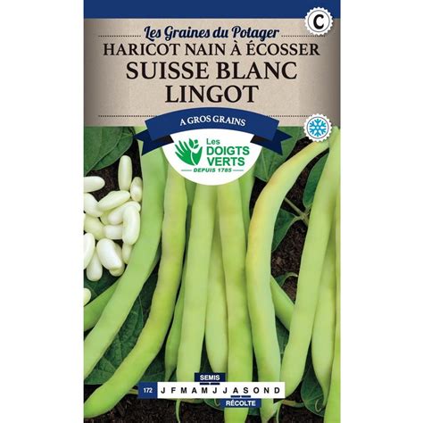 Semences Haricot Nain à écosser Suisse blanc Lingot 250 gr Les