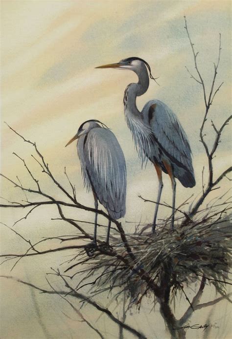 10 Best images about Birds - Herons, Cranes and Egrets on ... Watercolor Animals, Watercolor And ...