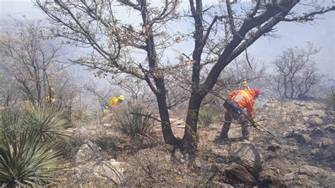 ¿cómo Ayudar A Los Brigadistas Que Combaten Incendios Forestales