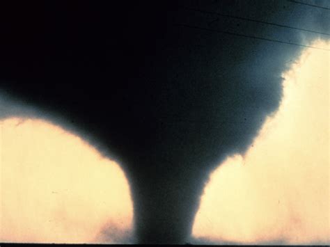 Prime Video Naked Science Season 6