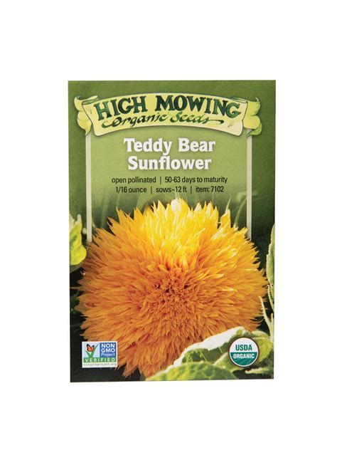 Teddy Bear Sunflower Organic Seeds - Yellow | Gardeners.com