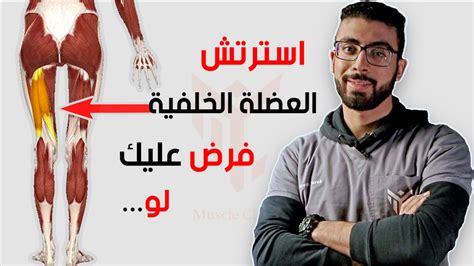 علاج الم عضلات الفخذ الخلفية