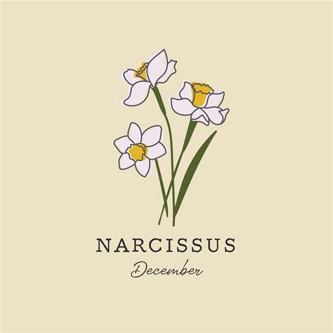 narcissus december birth flower 6