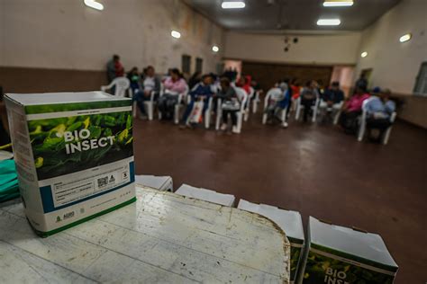 Candelaria Productores Recibieron Bioinsumos Y Celebraron Las Ventajas