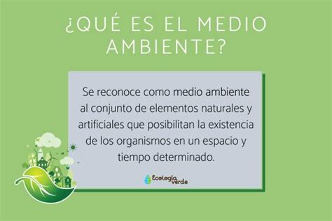 La Importancia Del Medio Ambiente Lo Que Debes Saber