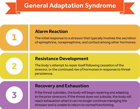 Chapter 14 Adaptations To Resistance Training