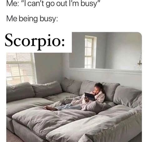 Zodiac Memes Scorpio Memes Where Passion Runs Deep