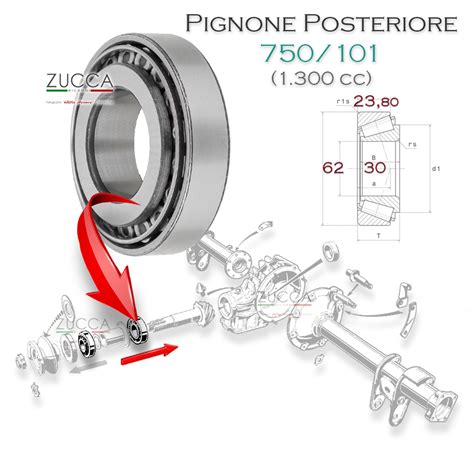 Cuscinetto Pignone Posteriore Cc Zucca Ricambi