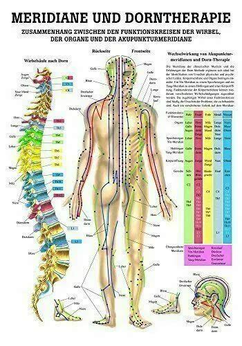 Ruediger Anatomie Mipo Lam Tableau Th Rapie De Dorn Et Th Rapie Des