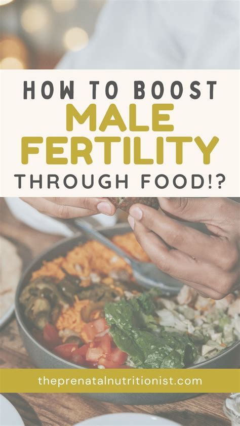 Male Fertility Artofit