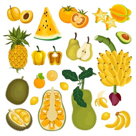 Gelbe Früchte Clipart Frisches Obst Set Vektor Illustration Premium