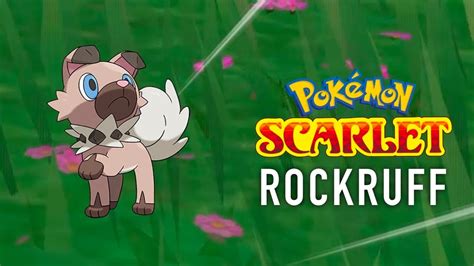 Pokemon Scarlet Catching Rockruff Filling The Pokedex Youtube