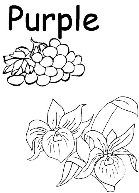 Purple Coloring Page Color Worksheets For Preschool Kindergarten