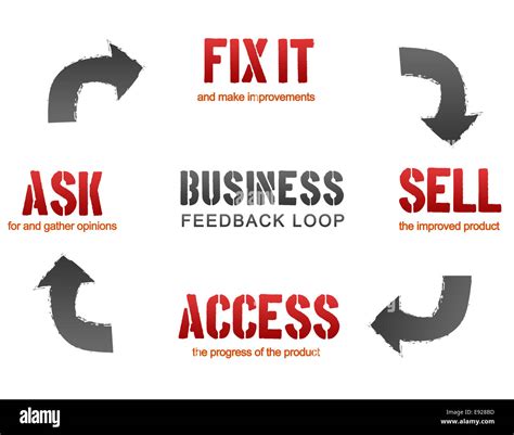 feedback loop  res stock photography  images alamy