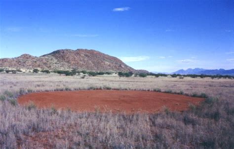 The Mysterious Fairy Circles Of Namibia