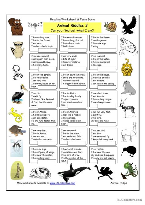 Animal Riddles 3 (Hard): English ESL worksheets pdf & doc