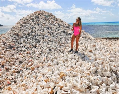 Conch Island – A Man-Made Island Built Out of Millions of Conch Shells ...