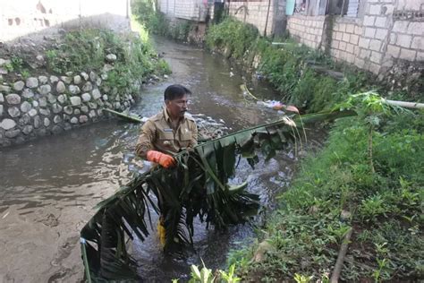 Viral Aksi Penjabat Wali Kota Kupang Pungut Sampah Di Kali Oebufu