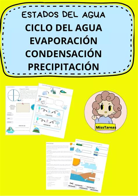 Transformación del Agua Ficha sobre Cambios de Estado y el Ciclo del