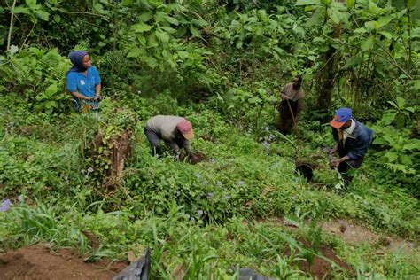 Natural Resources Stewardship For Sustainable Agriculture In Tanzania