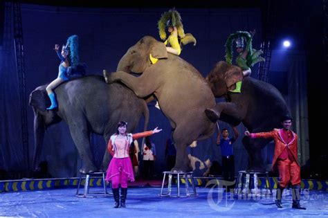 Pertunjukan Oriental Sirkus Taman Safari Indonesia Di Makassar Foto 5