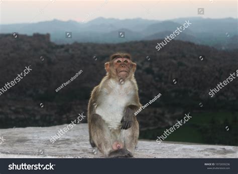 Hanuman Temple Hampi Stock Photo (Edit Now) 1072659236