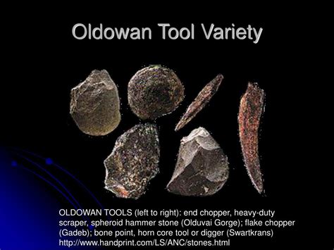 PPT - Early Human Culture PowerPoint Presentation, free download - ID ...