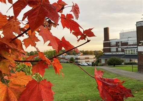 Croydon High School (near London, United Kingdom)