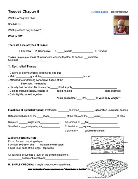 Tissue notes- Ch 05 Notes - Tissues Chapter 5 ( Google Slides - biol