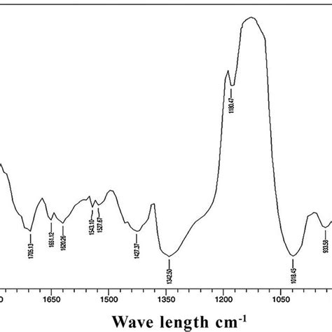 Fourier Transform Infra Red Spectroscopy Ftir Spectrum Of Agnps