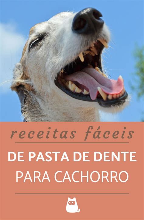 Pasta De Dente Para Cachorro Receitas F Ceis