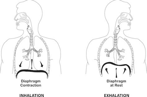 Diaphragm Singing