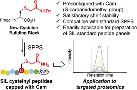 Synthesis Of S Carbamidomethyl Cysteine And Its Use For Quantification